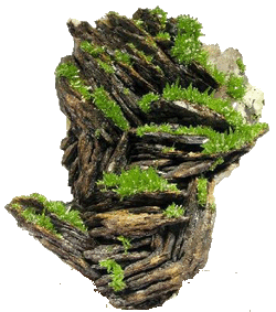 Pyromorphite and Flourite